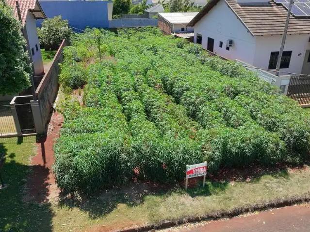 Terreno venda em Região Geográfica Imediata de Marechal Cândido Rondon, Marechal Cândido Rondon