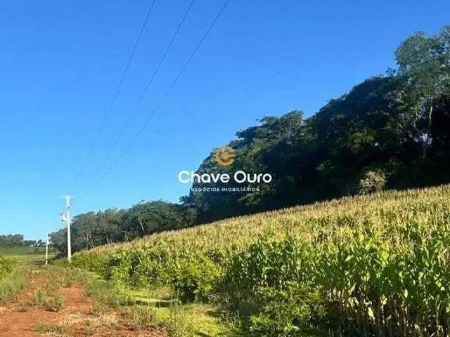 Terreno venda em Região Geográfica Imediata de Marechal Cândido Rondon, Marechal Cândido Rondon