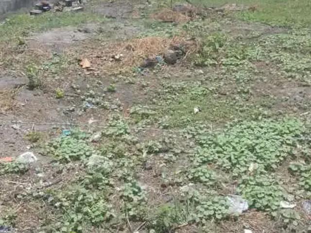 Terreno venda em Região Geográfica Imediata de Maceió, Marechal deodoro
