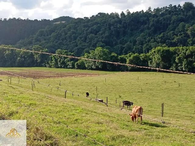Terreno venda em Região Geográfica Imediata de Chapecó, Marema