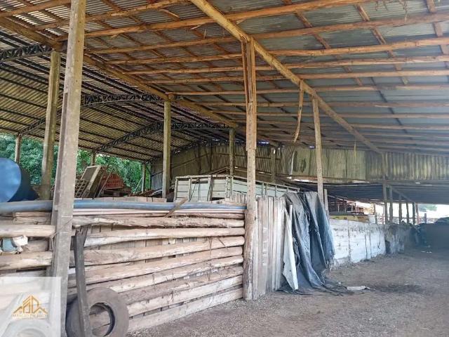Terreno venda em Região Geográfica Imediata de Chapecó, Marema