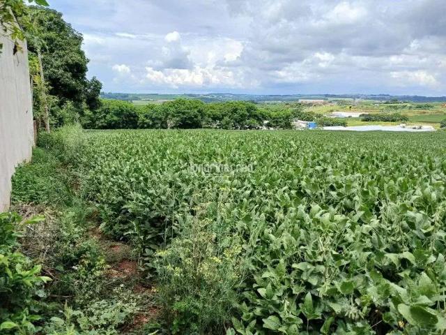 Terreno venda em Região Geográfica Imediata de Maringá, Marialva