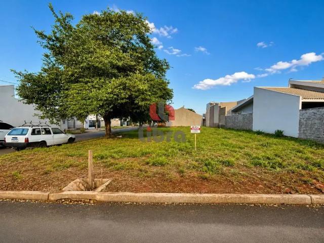 Terreno venda em Região Geográfica Imediata de Francisco Beltrão, Planalto