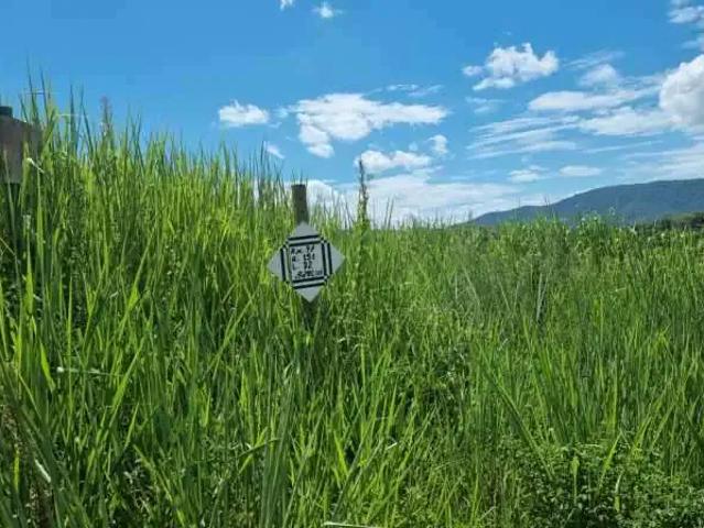 Terreno venda em Região Geográfica Imediata do Rio de Janeiro, Região Metropolitana do Rio de Janeiro