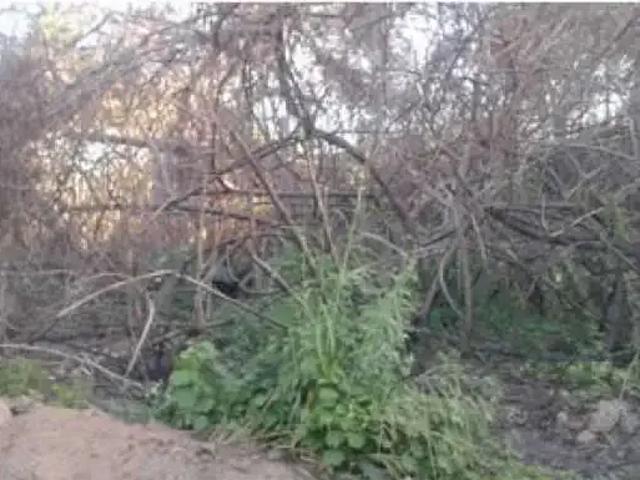 Terreno venda em Ponta Negra, Maricá