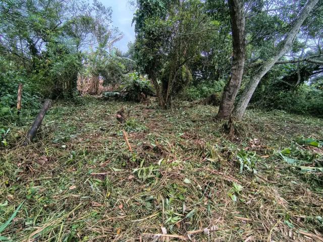 Terreno venda em Região Geográfica Imediata do Rio de Janeiro, Região Metropolitana do Rio de Janeiro