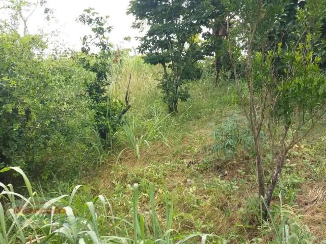 Terreno venda em Região Geográfica Imediata do Rio de Janeiro, Região Metropolitana do Rio de Janeiro