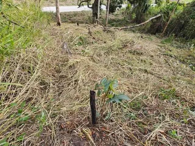 Terreno venda em Região Geográfica Imediata do Rio de Janeiro, Região Metropolitana do Rio de Janeiro
