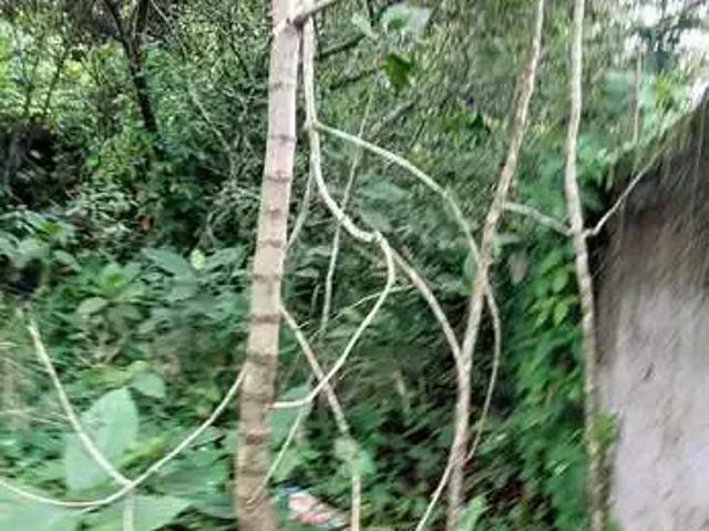 Terreno venda em Região Geográfica Imediata do Rio de Janeiro, Região Metropolitana do Rio de Janeiro