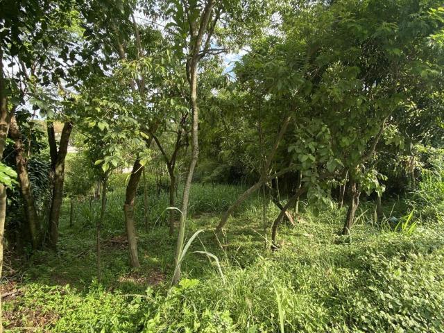 Terreno venda em Itaipuaçu, Maricá