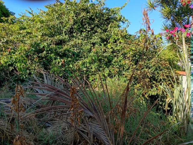 Terreno venda em Região Geográfica Imediata do Rio de Janeiro, Região Metropolitana do Rio de Janeiro