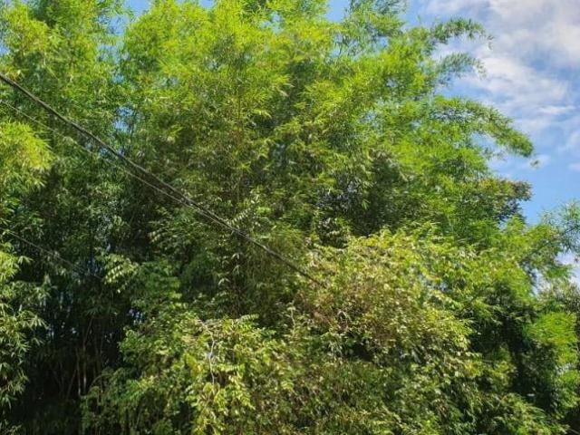 Terreno venda em Itaipuaçu, Maricá