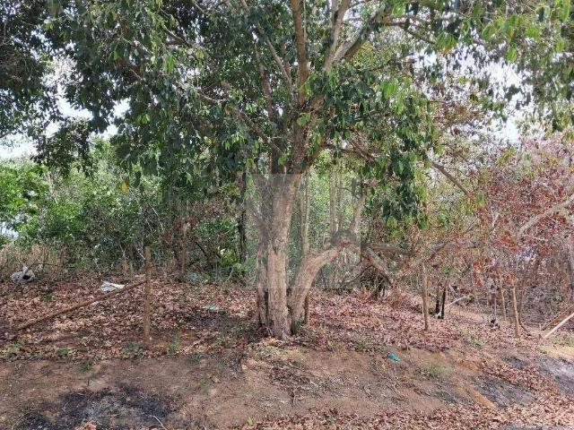 Terreno venda em Região Geográfica Imediata do Rio de Janeiro, Região Metropolitana do Rio de Janeiro