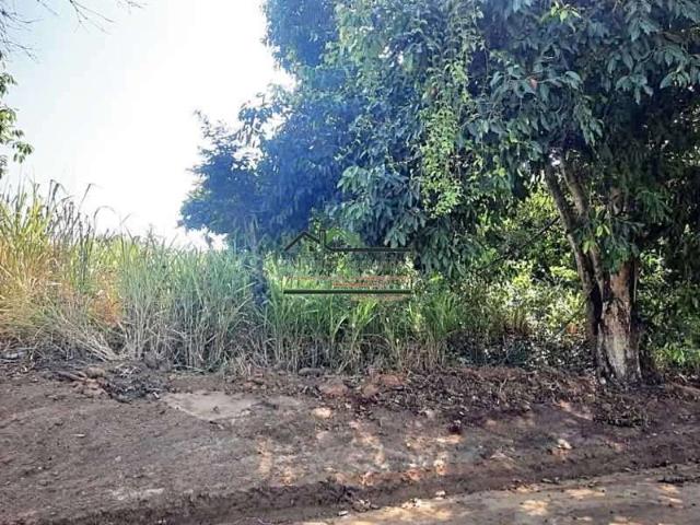 Terreno venda em Ponta Negra, Maricá