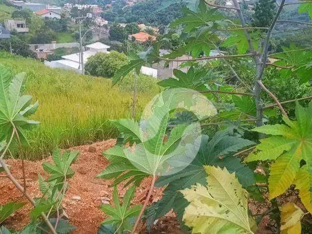Terreno venda em Ponta Negra, Maricá