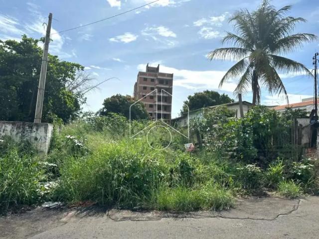 Terreno venda em Região Imediata de Marília, Marília