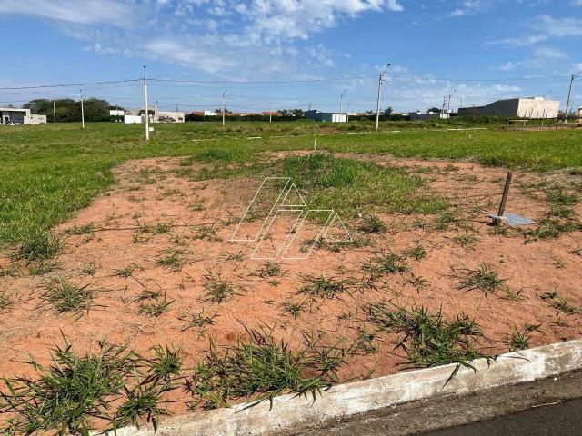 Terreno venda em Marília, Região Geográfica Intermediária de Marília