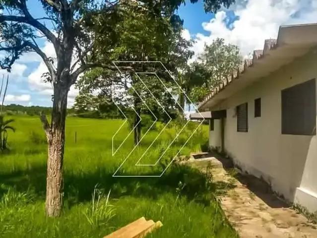 Terreno venda em Região Imediata de Marília, Marília