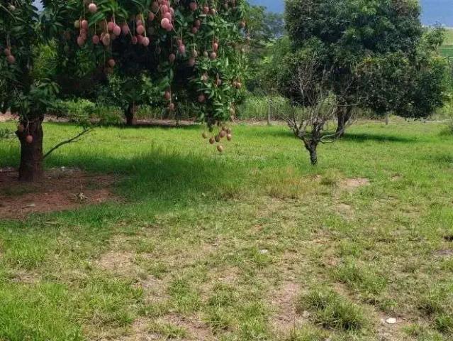 Terreno venda em Região Imediata de Marília, Marília