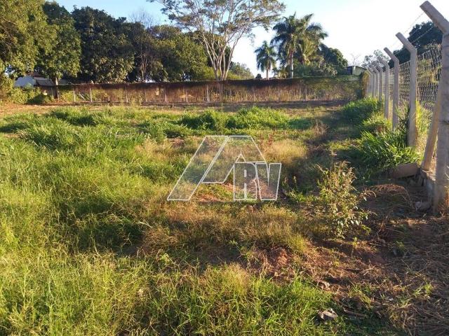Terreno venda em Marília