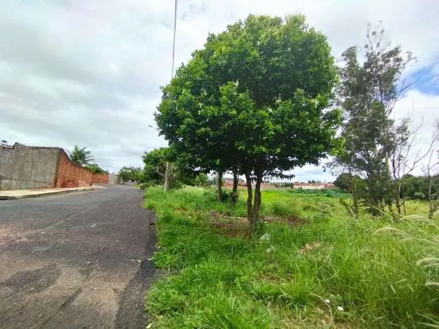 Terreno venda em Região Imediata de Marília, Marília