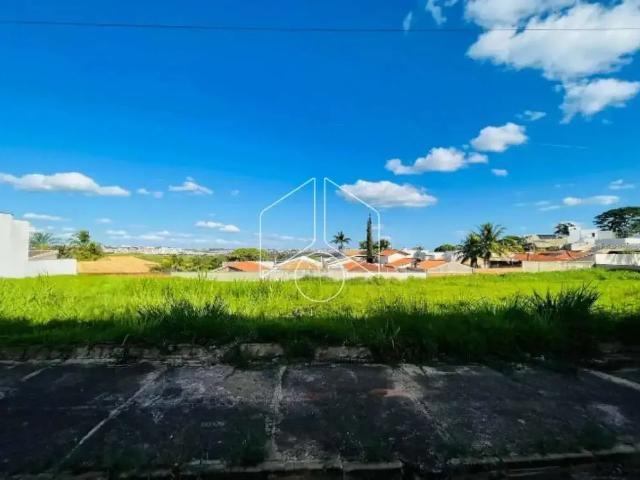 Terreno venda em Região Imediata de Marília, Marília