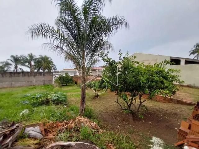 Terreno venda em Região Imediata de Marília, Marília