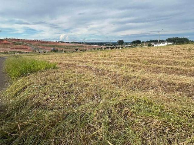 Terreno venda em Região Imediata de Marília, Marília