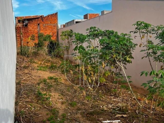 Terreno venda em Marília, Região Geográfica Intermediária de Marília
