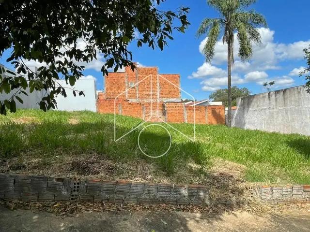 Terreno venda em Região Imediata de Marília, Marília