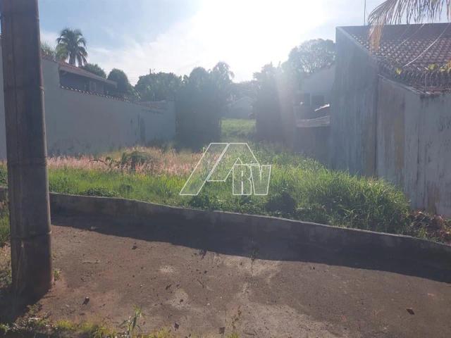 Terreno venda em Marília