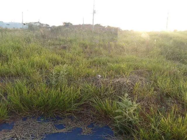 Terreno venda em Região Imediata de Marília, Marília