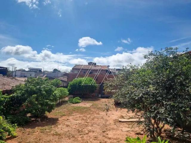 Terreno venda em Região Imediata de Marília, Marília