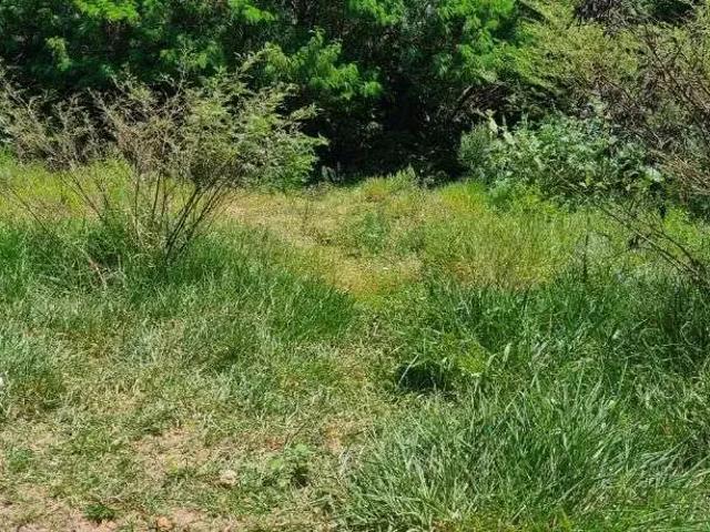 Terreno venda em Região Imediata de Marília, Marília