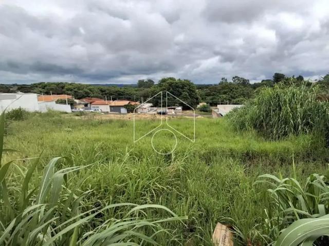 Terreno venda em Região Imediata de Marília, Marília