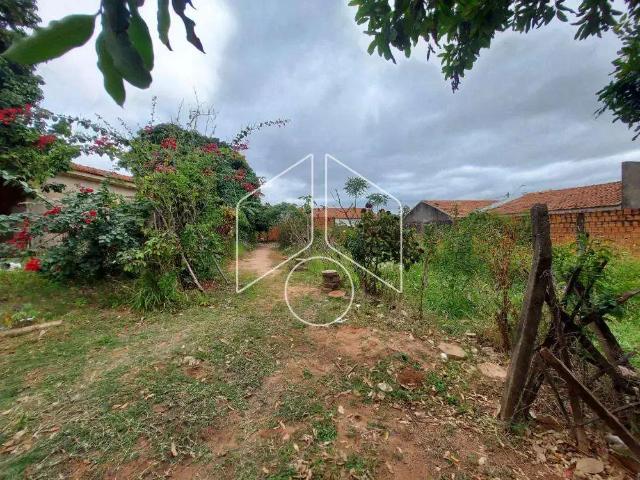 Terreno venda em Região Imediata de Marília, Marília