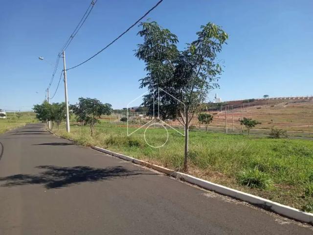 Terreno venda em Região Imediata de Marília, Marília