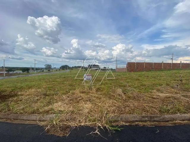 Terreno venda em Região Imediata de Marília, Marília