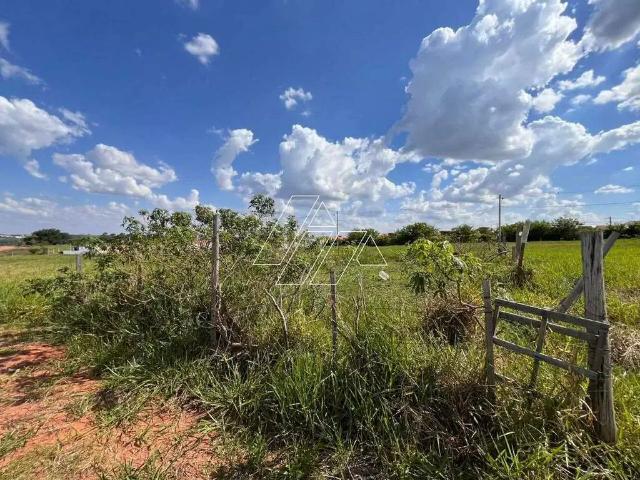 Terreno venda em Região Imediata de Marília, Marília