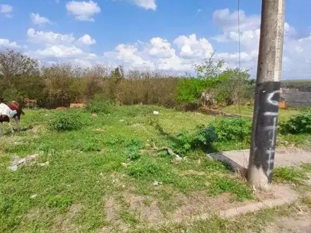 Terreno venda em Região Imediata de Marília, Marília