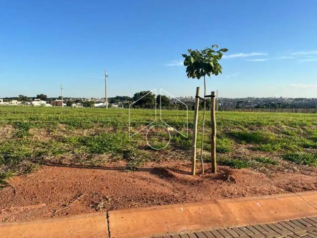 Terreno venda em Região Imediata de Marília, Marília