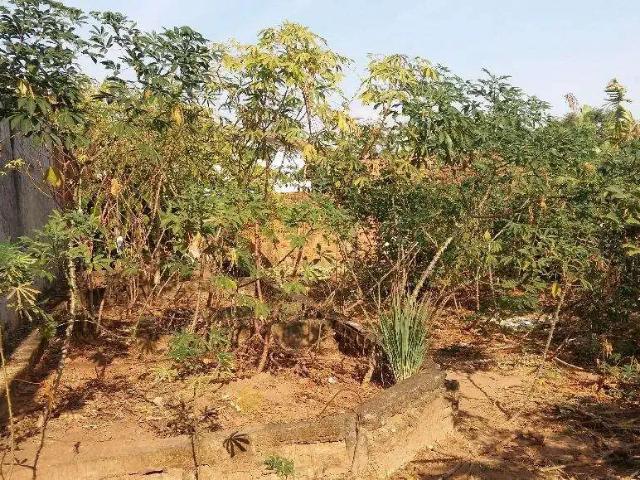 Terreno venda em Região Imediata de Marília, Marília