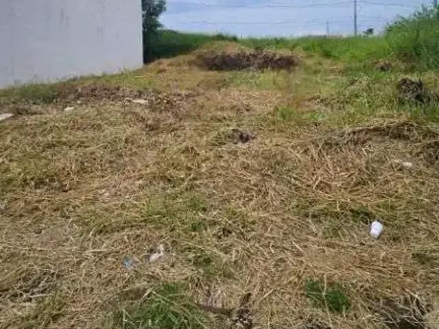 Terreno venda em Região Imediata de Marília, Marília