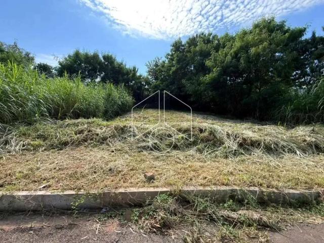 Terreno venda em Região Imediata de Marília, Marília
