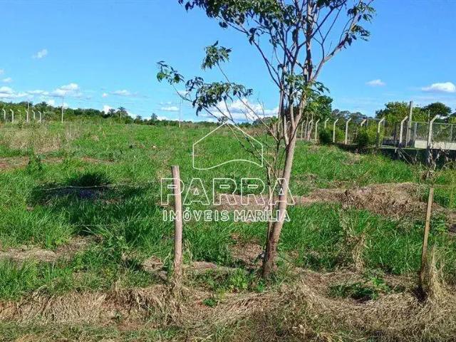 Terreno venda em Região Imediata de Marília, Marília