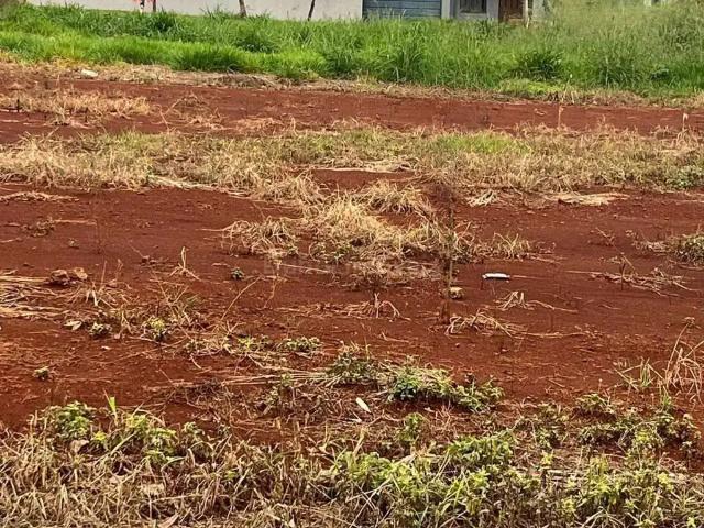 Terreno venda em Região Geográfica Imediata de Maringá, Maringá