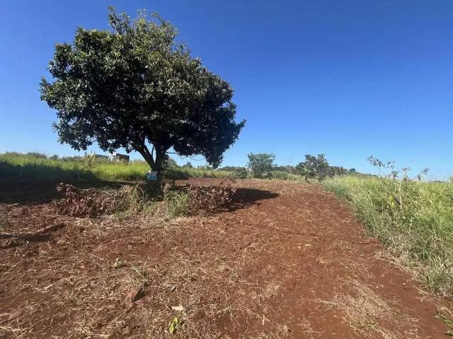 Terreno venda em Região Geográfica Imediata de Maringá, Doutor Camargo