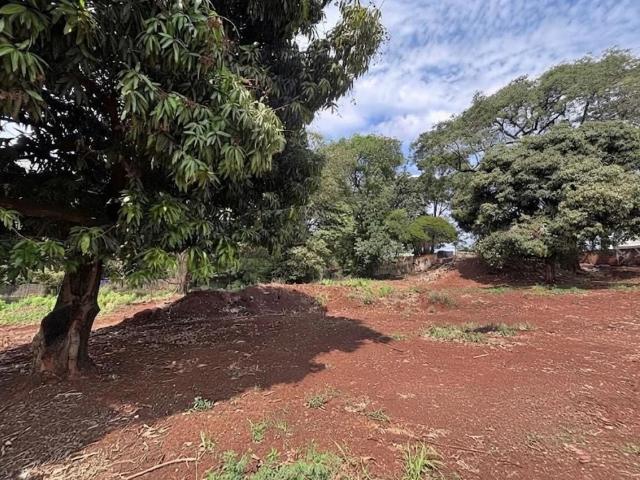 Terreno venda em Região Geográfica Imediata de Maringá, Maringá
