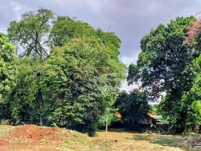 Terreno venda em Região Geográfica Imediata de Maringá, Maringá