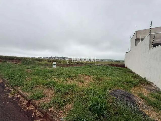 Terreno venda em Região Geográfica Imediata de Maringá, Maringá